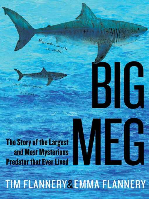 Title details for Big Meg by Tim Flannery - Available